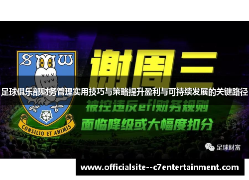 足球俱乐部财务管理实用技巧与策略提升盈利与可持续发展的关键路径