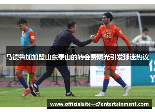 马德鲁加加盟山东泰山的转会费曝光引发球迷热议